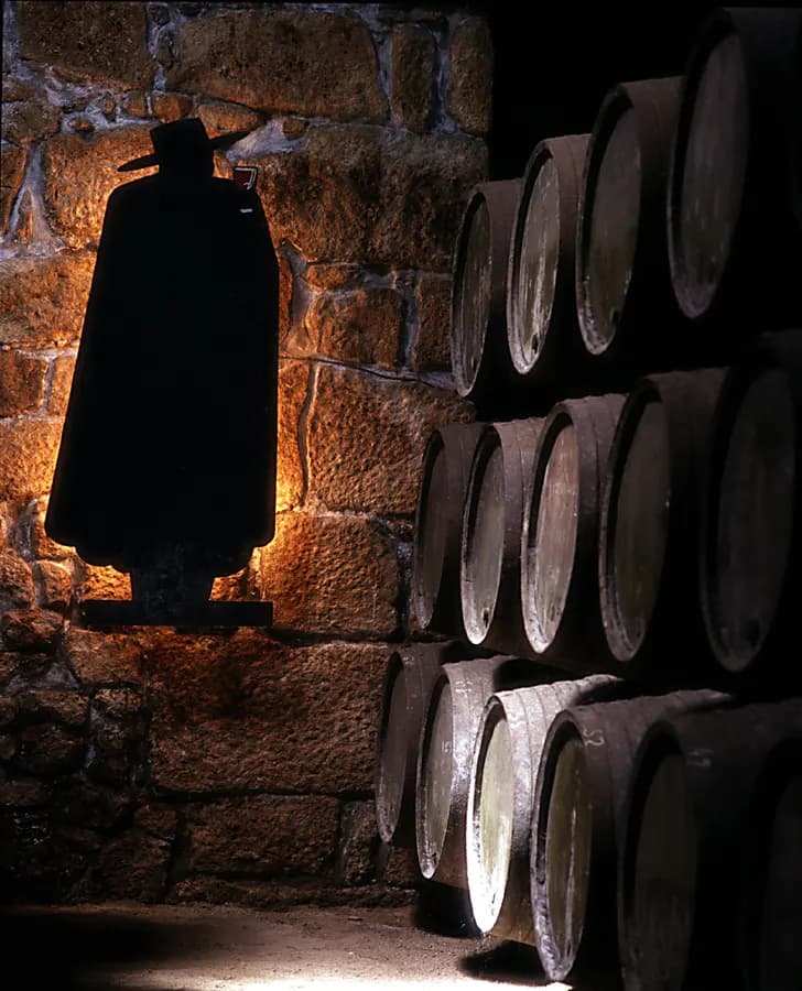 Винный опыт в погребах Sandeman в Porto/Gaia