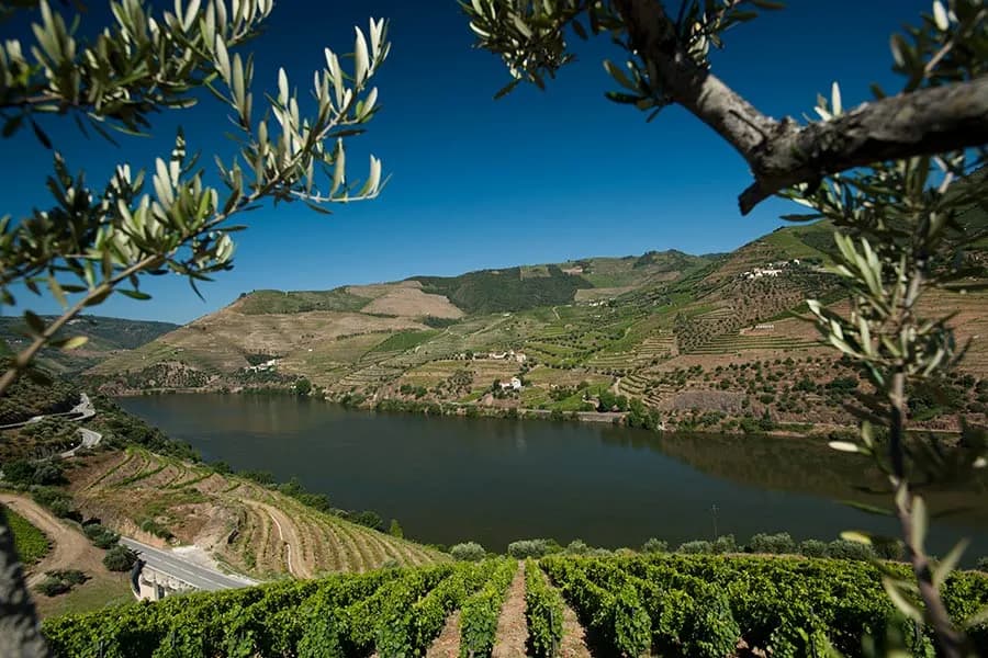 Погреб и производство на Quinta do Seixo